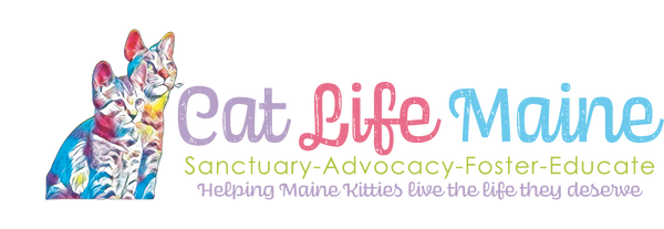 Cat Life Maine